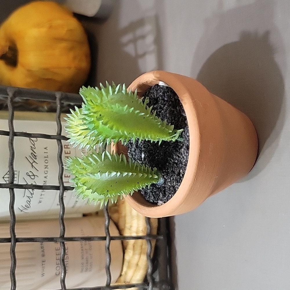 Miniature Succulent Decor